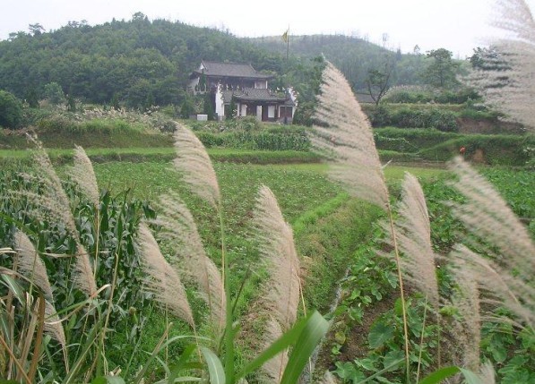 九江岳母祠