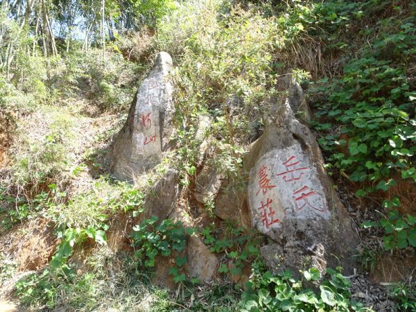 传承武穆精神 放飞五彩梦—— 探寻贵州乌蒙山岳氏后裔暨岳家生态种植场发展侧记