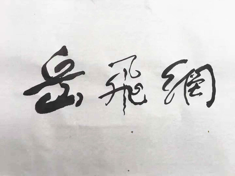 著名书法家岳佐泉为岳飞网题写站名