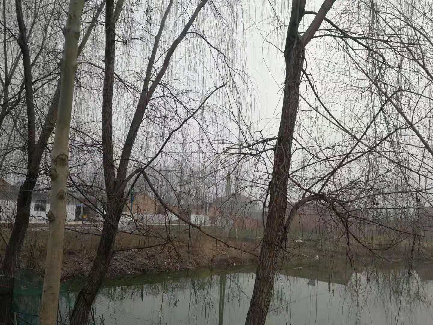 微信图片_20200129181548.jpg