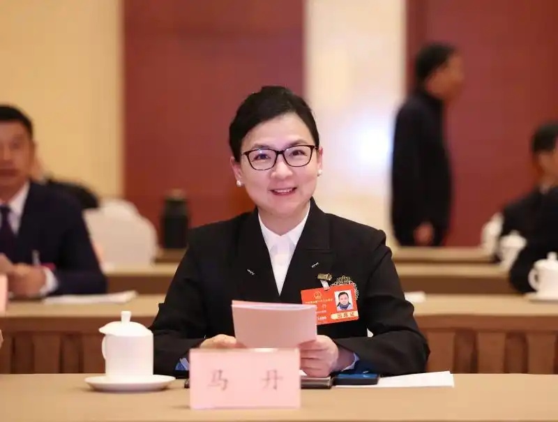 全国人大代表马丹：高举爱国主义旗帜，保护传承弘扬岳飞文化的建议