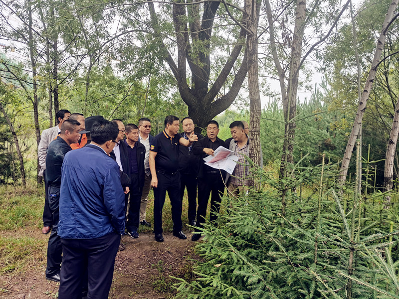 岳研会在甘肃省举行岳文化遗迹考察调研